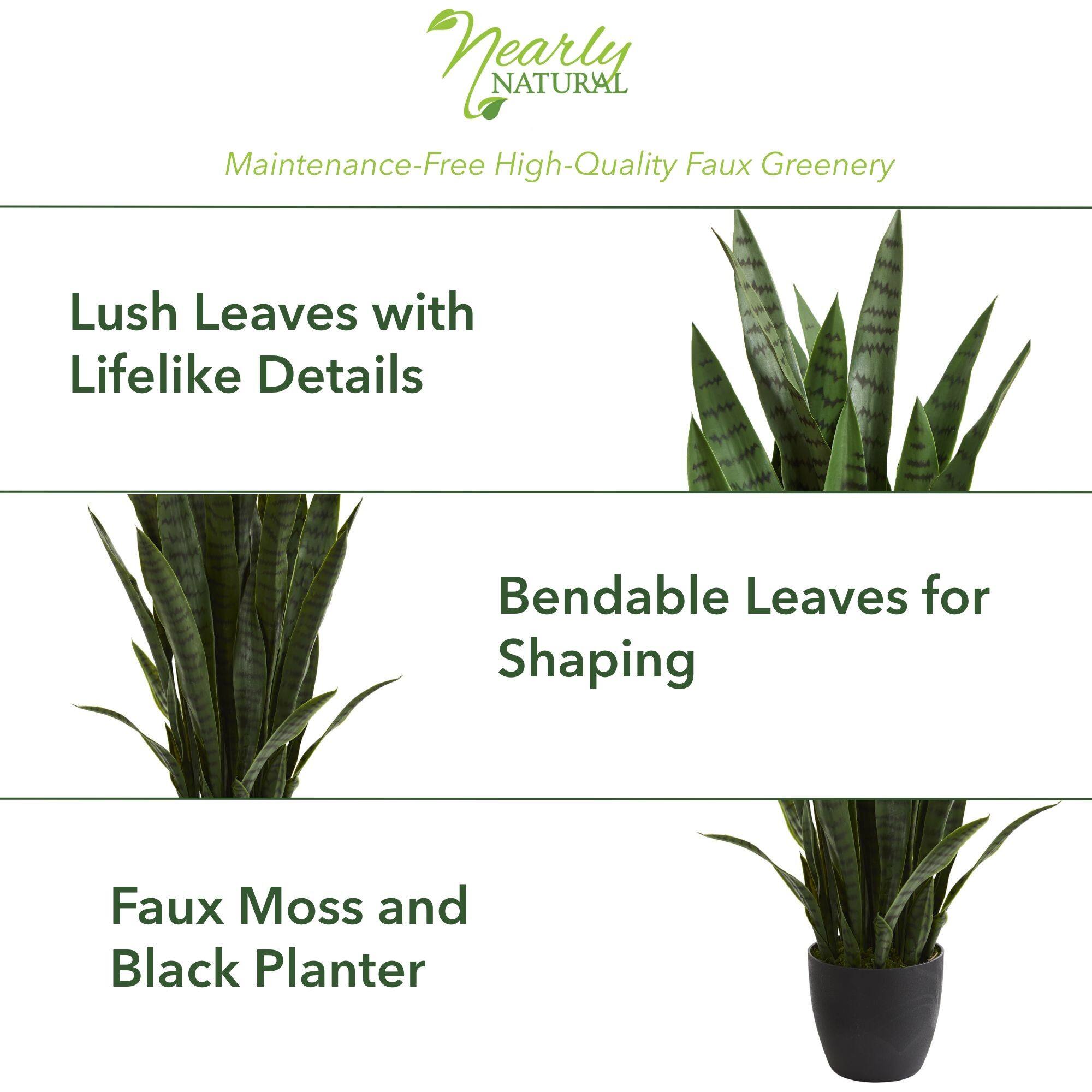 3ft. Potted Green Snake Plant
